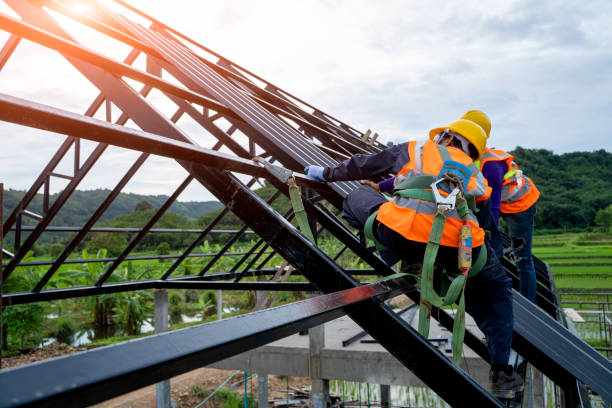Best Roof Repair Services  in Frankfort, MI