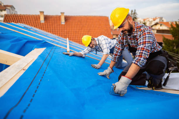 Trusted Frankfort, MI Roofing Contractor Experts