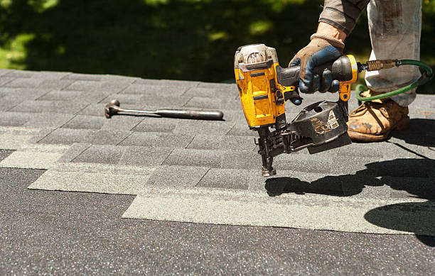 Best Local Roofing Companies  in Frankfort, MI