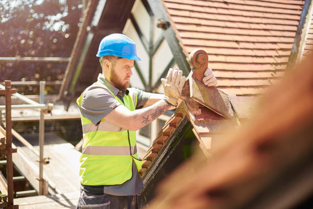 Best Roof Maintenance Services  in Frankfort, MI