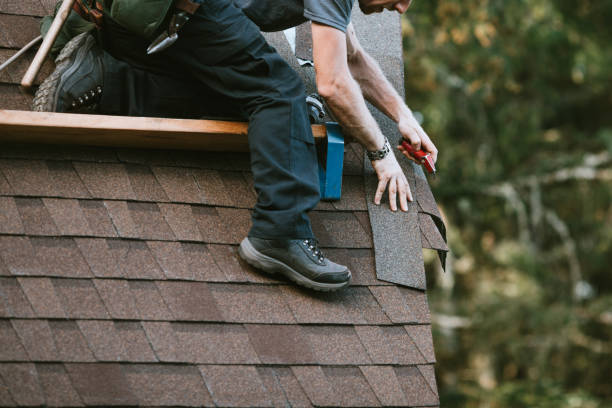 Best Roofing Contractor Near Me  in Frankfort, MI